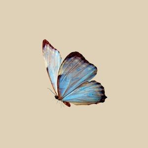 Meet your Posher, Ely